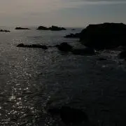 ポンスケ