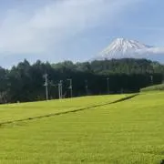 アイス☺︎