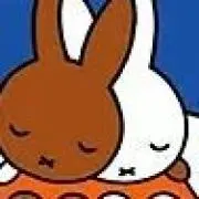 ミフィの画像