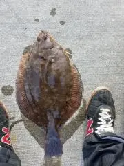 釣りバカ
