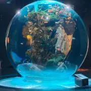 鈴木恭介の画像