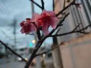 Kazu.Okiの画像