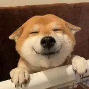 あおの画像