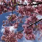 koumeiの画像