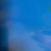まめの画像