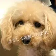 ゆぅ☆の画像