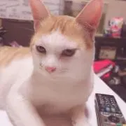 AYUMI