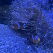 るるるるるるる