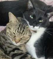 購入前にプロフ確認してねの画像