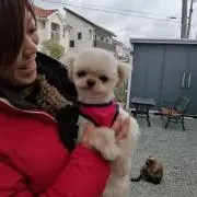 まみちゃん