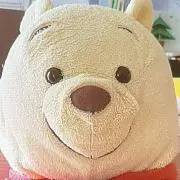 くまぼうしの画像