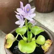 ☆83☆の画像