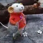 森の動物(プロフィールをご一読下さい)の画像