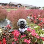 あーの画像