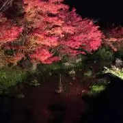 数の画像