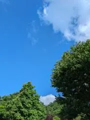 こうなの画像