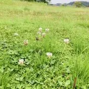CHILO プロフィールをご一読くださいの画像