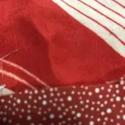 とちりの画像