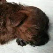 み様