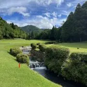 VELLの画像