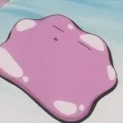 その画像