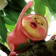 ぺこの画像