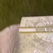 ほうじ茶の画像