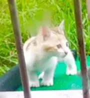 ゆめ (⁠๑⁠♡⁠⌓⁠♡⁠๑⁠)の画像