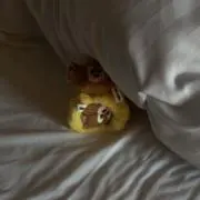 にゃむの画像