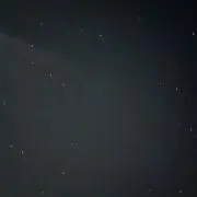 こむぎの画像