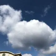 やまぴーの画像