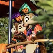 Reiの画像