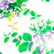 remon