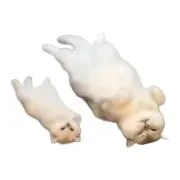 ゆーりんの画像