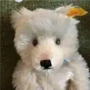 しろくまの画像