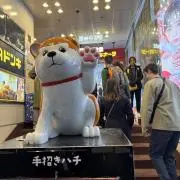 しらすの画像