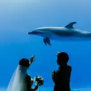 Makanaの画像
