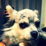 タカッシ
