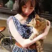 Sの画像