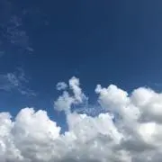 やっほー