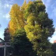 ラベル