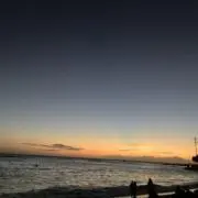Yoの画像