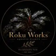 RokuWorksの画像