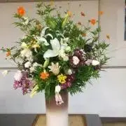 クロ