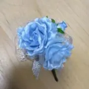 こりくの画像