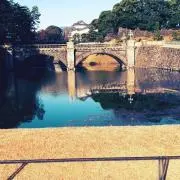 ドラゴンズ