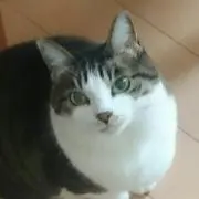 さわさんの画像