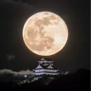 たいこう