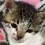とも