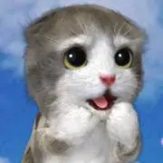Rの画像